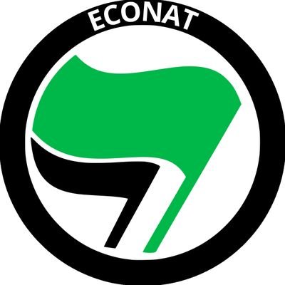 Davide981747801's profile picture. 