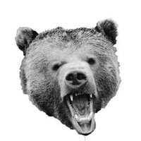 THE SHORT BEAR. (@theshortbeqrr) 's Twitter Profile