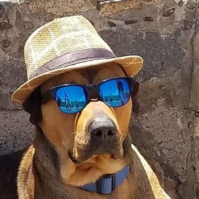 Un lĆder no pone a un polĆtico al frente de una empresa porque la arruina, pero si le pones al frente de un importante cargo polĆtico te forras.