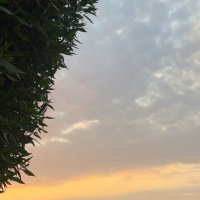 . (@eiilw_7) Twitter profile photo