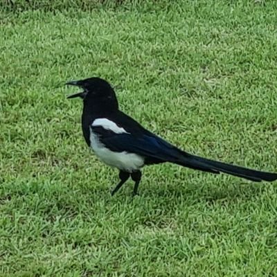 frameset82's profile picture. 