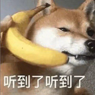 longyao11's profile picture. 老亏钱，没赚过