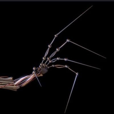prototypeqppy's profile picture. 