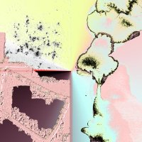 Rewire (@rewirefestival) 's Twitter Profile Photo Rewire (@rewirefestival) 's Twitter Profile Photo