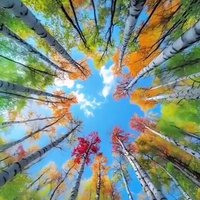 burak (@mertburak555) 's Twitter Profile Photo