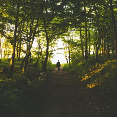 Molavika1's profile picture. art, fashion, music, gaming