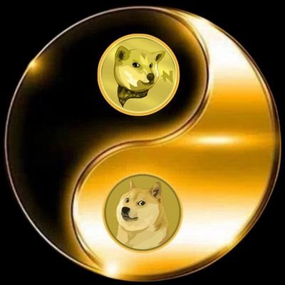 taheer002's profile picture. real madrid fan 🏳️ love a meme inspired🐕
doge to the moon🌙