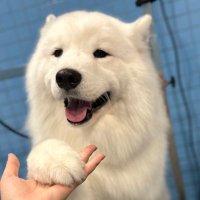 Yula (@ulaalin) 's Twitter Profile
