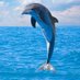 delfin (@delfin65a36) Twitter profile photo delfin (@delfin65a36) Twitter profile photo
