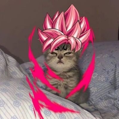 ellikyutie00's profile picture. WEB3 enjoyer       #sol #sei #eth #btc