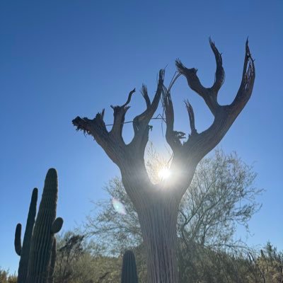 BrannDraven's profile picture. Success is the best revenge!