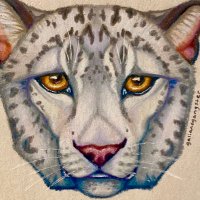 galianogangster (@galianogangster) 's Twitter Profile