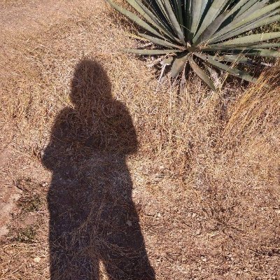 Promotora cultural, amo la lectura, la escritura, el cine y la música, me gusta el chocolate amargo, el vino tinto y el café platicado.
