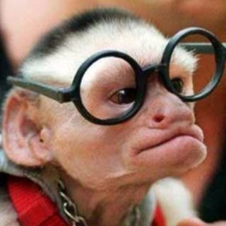 W1STJEDAT's profile picture. 