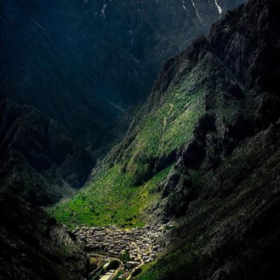 renas101020's profile picture. 