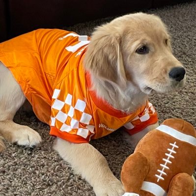 UTGirl65's profile picture. Wife. Momma. Grammy.  Gym Rat. Vol gal surrounded by haters. WGWTFA 🍊🍊🍊