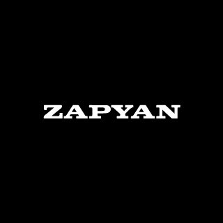 At Zapyan, we are on a mission to revolutionise digital marketing by harnessing the power of automation, scalable strategies and simple yet powerful solutions.
