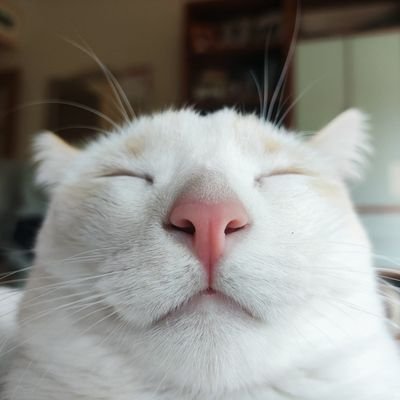 Andresdb5lol's profile picture. libri sunt legendi, non comburendi