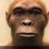 baledanslecrane's profile picture. 