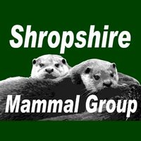 Shropshire Mammal Group(@Shropsmammals) 's Twitter Profile Photo