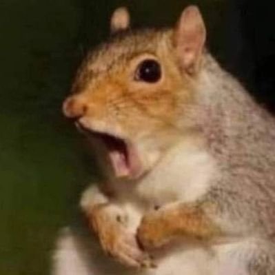 os94685's profile picture. 