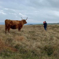 Monica NAUGHTON Crimmins (@monicacrimmins) 's Twitter Profile Photo Monica NAUGHTON Crimmins (@monicacrimmins) 's Twitter Profile Photo