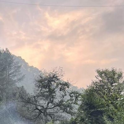 _Ms_choudhary_9's profile picture. 