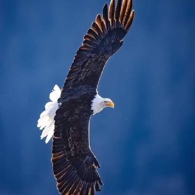 KochaiB23558's profile picture. 