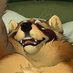 hot n' heavy - CMMS OPEN (@heavychow) Twitter profile photo hot n' heavy - CMMS OPEN (@heavychow) Twitter profile photo