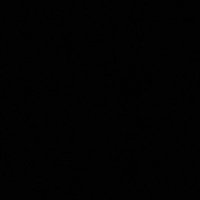 ' (@hightolerxncee) 's Twitter Profile