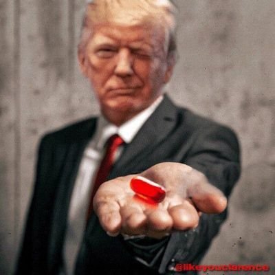 rams5959's profile picture. Hiker/Animal lover!! American tax payer. Sports fan