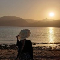Nada Elsharkawy (@nadamoh04400775) 's Twitter Profile