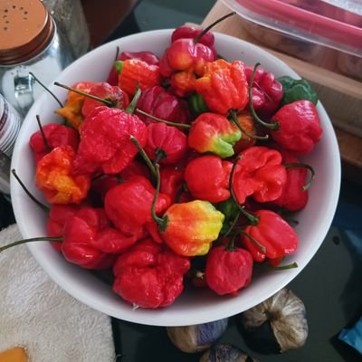 rygizzy's profile picture. 