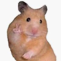 HAMSTER RAVE PARTY (@hamsteraveparty) 's Twitter Profile
