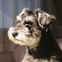 Au8ustStory (@au8uststory) Twitter profile photo