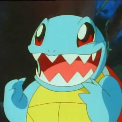 SquirtleCapital's profile picture. 