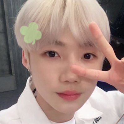 myclovernew's profile picture. for. my lucky clover ☘️ 한국 주소 ⭕️ 은행 송금 ⭕️