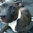 Jada Cole - @Jada_Cole - Twitter