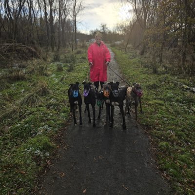 My Family👨👩👦👦 Greyhound Training and Racing. Adore everything racing and everything greyhounds💚