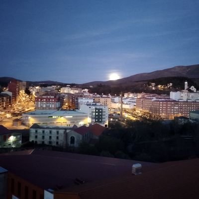 debraferreira's profile picture. 