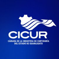 CICUR (@cicurgto) 's Twitter Profile