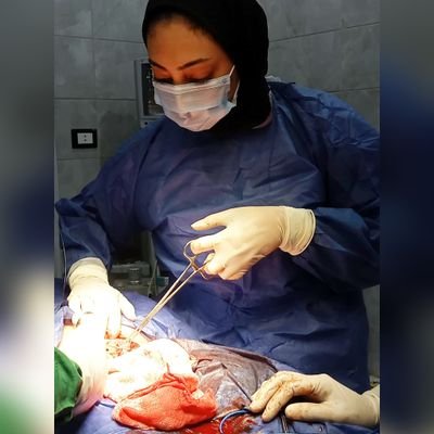 GhadaABdElsal14's profile picture. 𝑾𝒊𝒍𝒍 𝒂𝒍𝒘𝒂𝒚𝒔 𝒇𝒂𝒍𝒍 𝒊𝒏 𝒍𝒐𝒗𝒆 𝒘𝒊𝒕𝒉 𝒕𝒉𝒆 𝒃𝒆𝒂𝒖𝒕𝒚 𝒐𝒇 𝒕𝒉𝒆 𝒔𝒌𝒚. 
Intern doctor  💉♥️