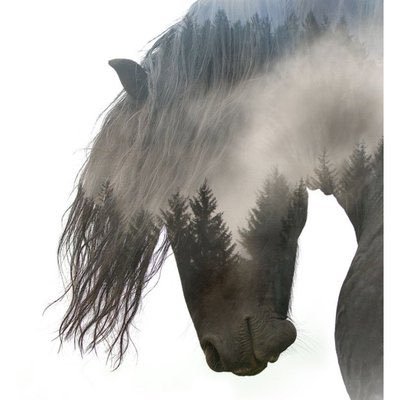 LivNWater14's profile picture. 