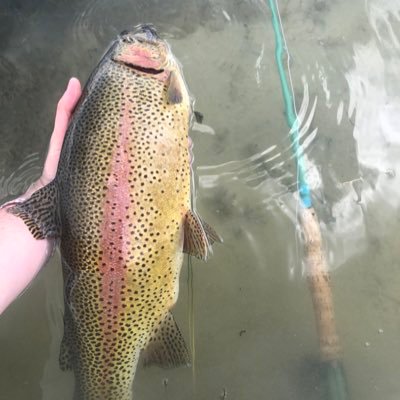 Fly fishing made easy