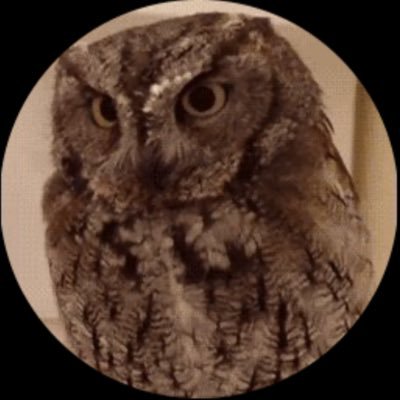 takemori_kick's profile picture. ⭐️⭐️⭐️