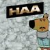 HAGOV CHILL GUY (@_vivalapatria_) Twitter profile photo HAGOV CHILL GUY (@_vivalapatria_) Twitter profile photo