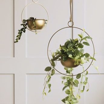 MFebri3's profile picture. "Fortune favors the bold