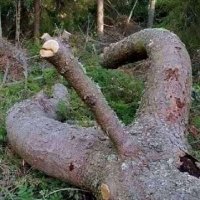 Yousef Pal (@yousefpal22172) Twitter profile photo