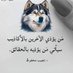 ahmed (@ahmed663068) Twitter profile photo ahmed (@ahmed663068) Twitter profile photo