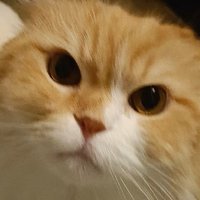 エコル犬の出張訓練/趣味つぶやき (@ecoledog) 's Twitter Profile